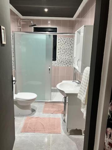 Safi Gratia Studios מראה חיצוני תמונה